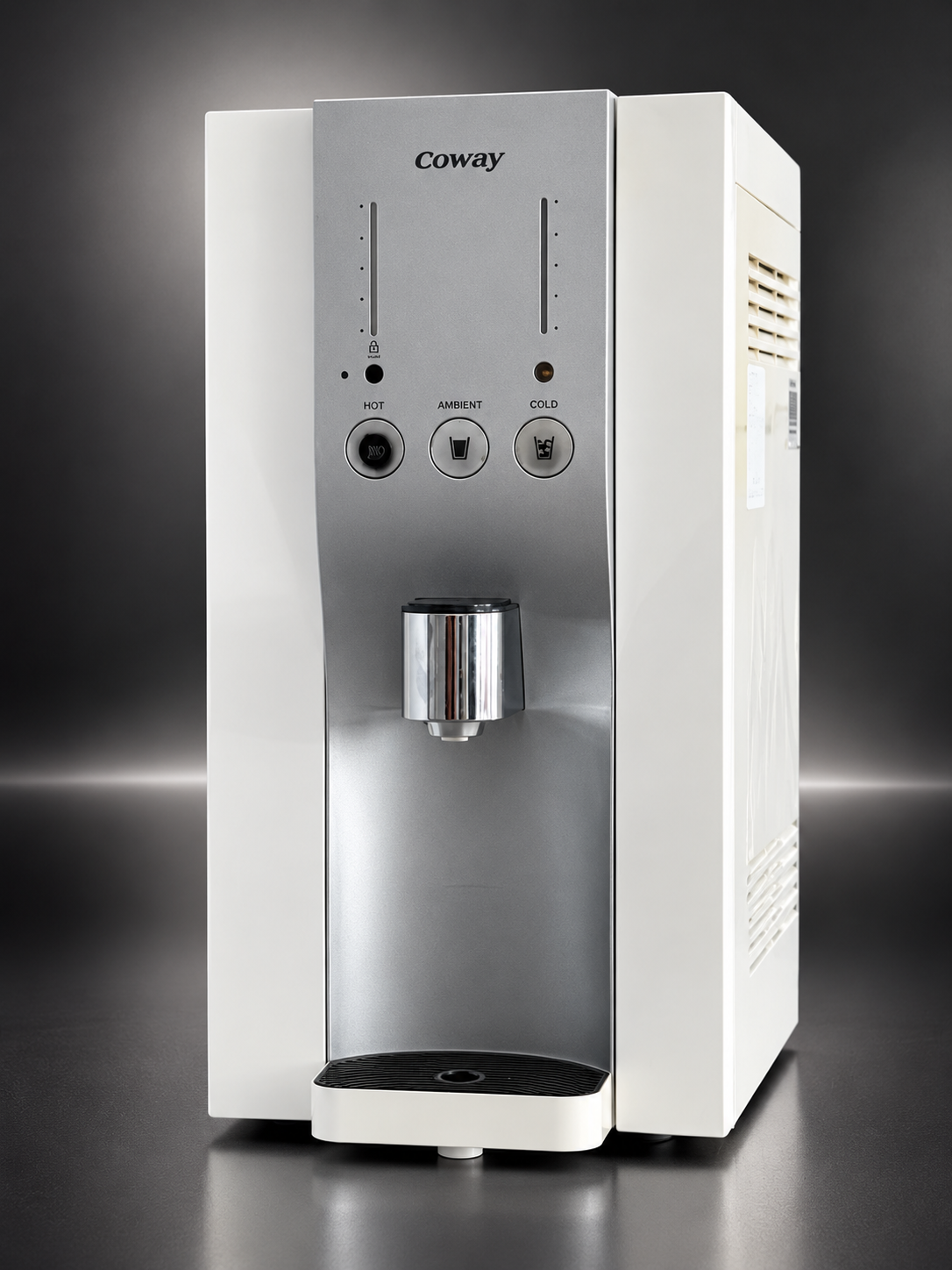 Filterset passend für Coway P-07CL, P-08, P-220, CHP-06DL, CHP-250